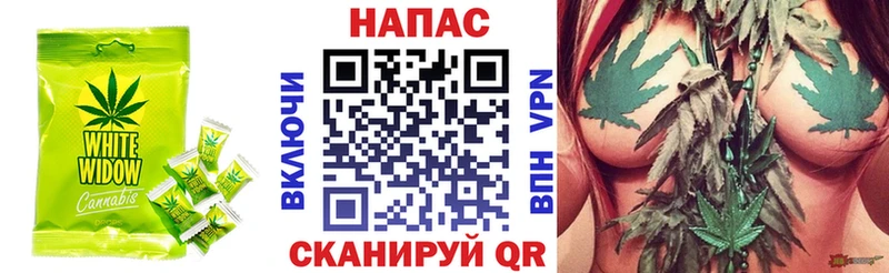 Canna-Cookies марихуана OMG ССЫЛКА Болотное