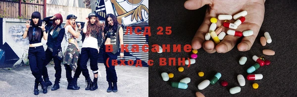 ПСИЛОЦИБИНОВЫЕ ГРИБЫ Белоозёрский