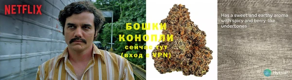 ПСИЛОЦИБИНОВЫЕ ГРИБЫ Белоозёрский