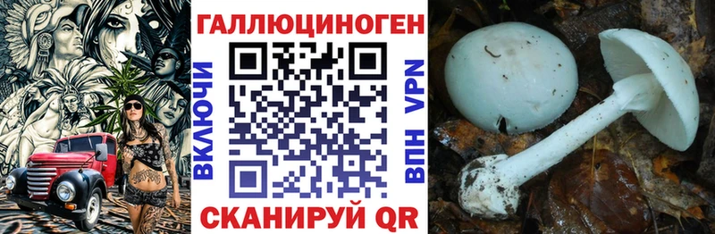 сколько стоит  Болотное  Галлюциногенные грибы мухоморы 