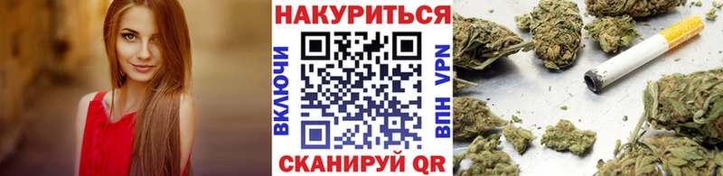 Бошки Шишки семена Болотное