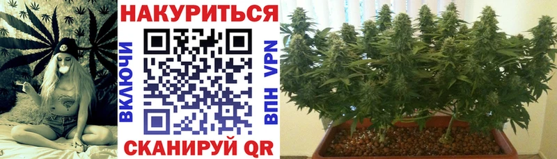 Канабис индика  Болотное 